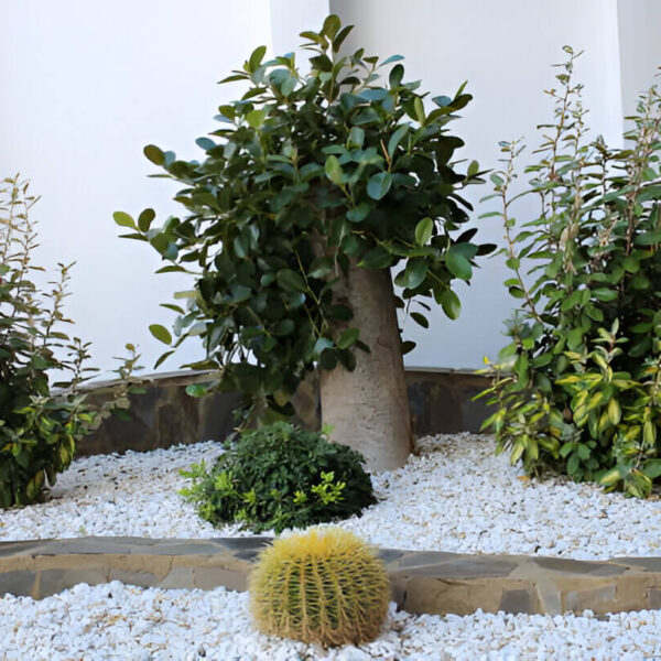 How to Create a Backyard Oasis on a…