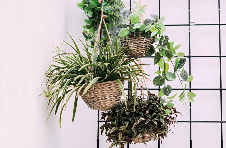 Creative Ways to Decorate Your Home with Plants