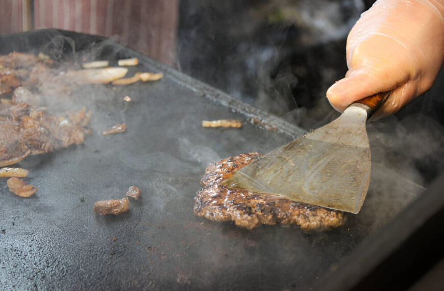 Blackstone Pre-Seasoned Cast Iron Griddle…